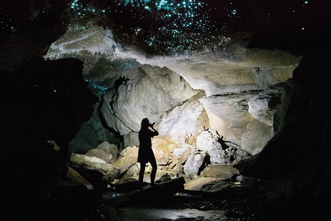 3-Hour Private Photography Tour in Waitomo Caves - Key points to know before booking