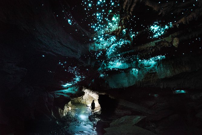 3-Hour Private Photography Tour in Waitomo Caves - Why this Waitomo tour feels different