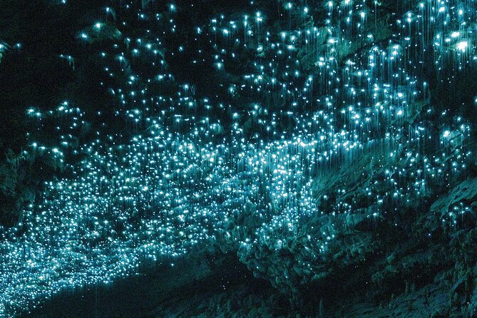 3-Hour Private Photography Tour in Waitomo Caves - What the private format is worth