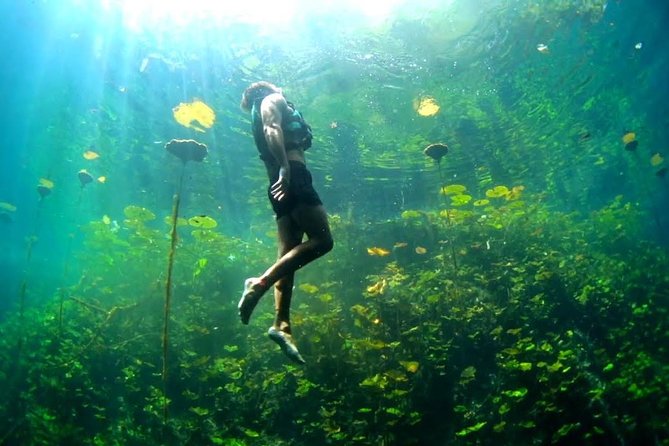 4-in-1 Cenote Tour Guided Experience with Breakfast, Lunch & Wine - K’aak’, the Fire Cenote and a Gentle Start