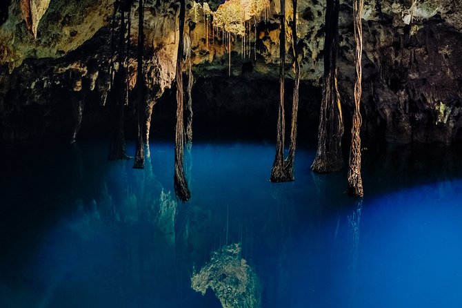 4-in-1 Cenote Tour Guided Experience with Breakfast, Lunch & Wine - Iik’, the Wind Cenote and the First Adrenaline Rush