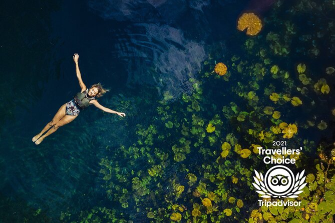 4-in-1 Cenote Tour Guided Experience with Breakfast, Lunch & Wine - Breakfast, Lunch, Wine, and the Practical Value of the Price