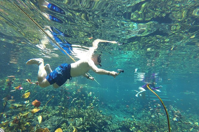 4 Private Cenotes, Zip-Lines, Canoes & Mayan Village with Delicious Lunch - Four cenotes, four different moods