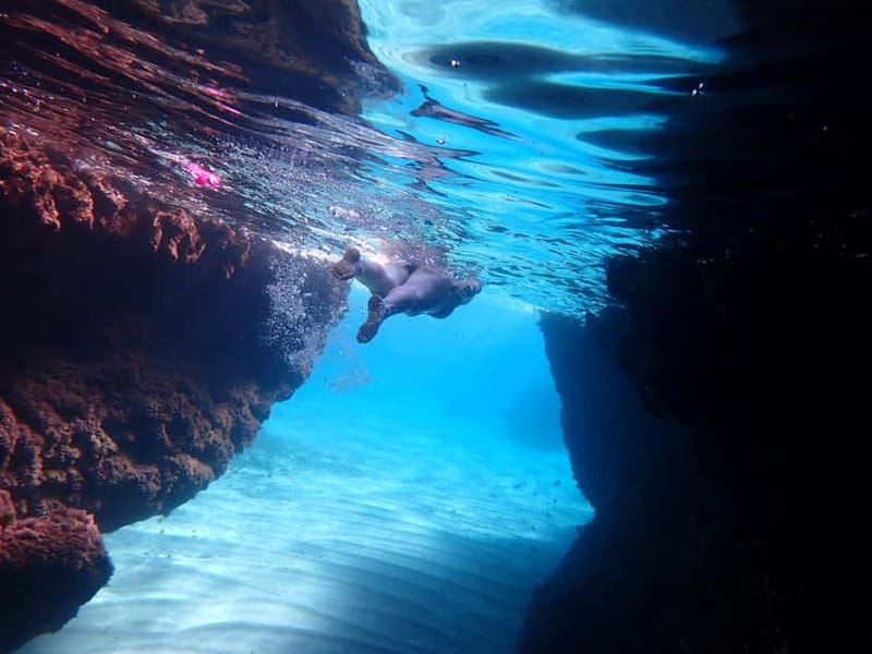 5-hour Cape Greco Caves kayaking + Snorkelling trip - Key points before you book