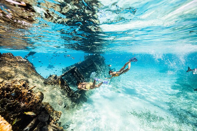 5-in-1 Cancun Snorkeling: Turtles, Reef, Musa, Shipwreck, Cenote - Two MUSA art areas below the surface