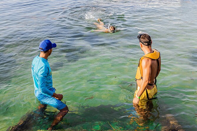 5-in-1 Cancun Snorkeling: Turtles, Reef, Musa, Shipwreck, Cenote - The shipwreck stop is a surprise favorite