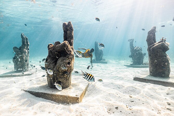 5-in-1 Cancun Snorkeling: Turtles, Reef, Musa, Shipwreck, Cenote - Finishing at a Yucatan cenote
