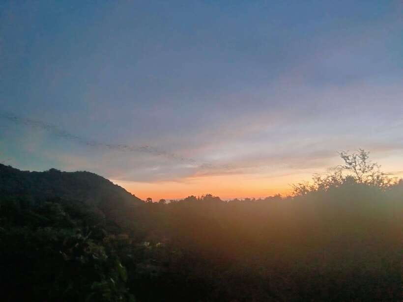 Afternoon Tour: Bamboo Train, Killing Cave &Bat Cave - Riding Battambang’s bamboo train