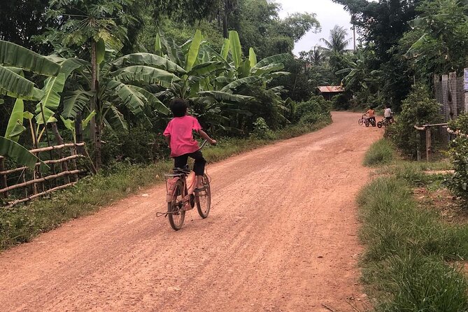 Afternoon tour by tuk tuk to bamboo train,bat cave,killing cave,countryside. - The guides make the difference