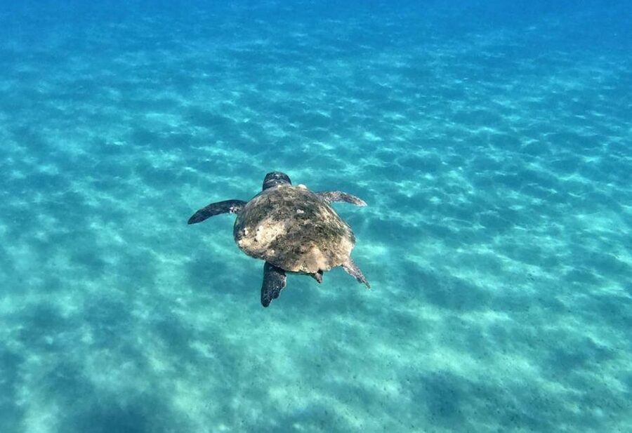 Agios Sostis: Marathonissi, Keri Caves, and Turtle Spotting - How the three-hour schedule works