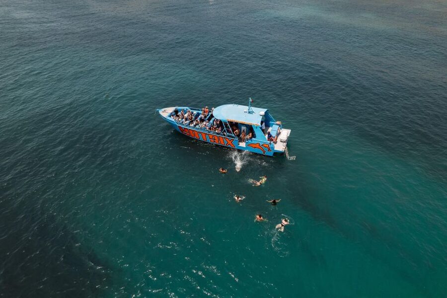 Albufeira: 2.5-Hour Dolphin Watching and Caves Trip - Is $41 a fair price?