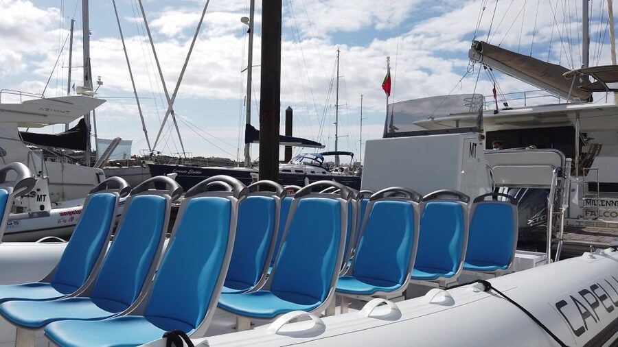 Albufeira: Benagil Cave and Dolphin Sightseeing Boat Cruise - How much value do you get for $47?
