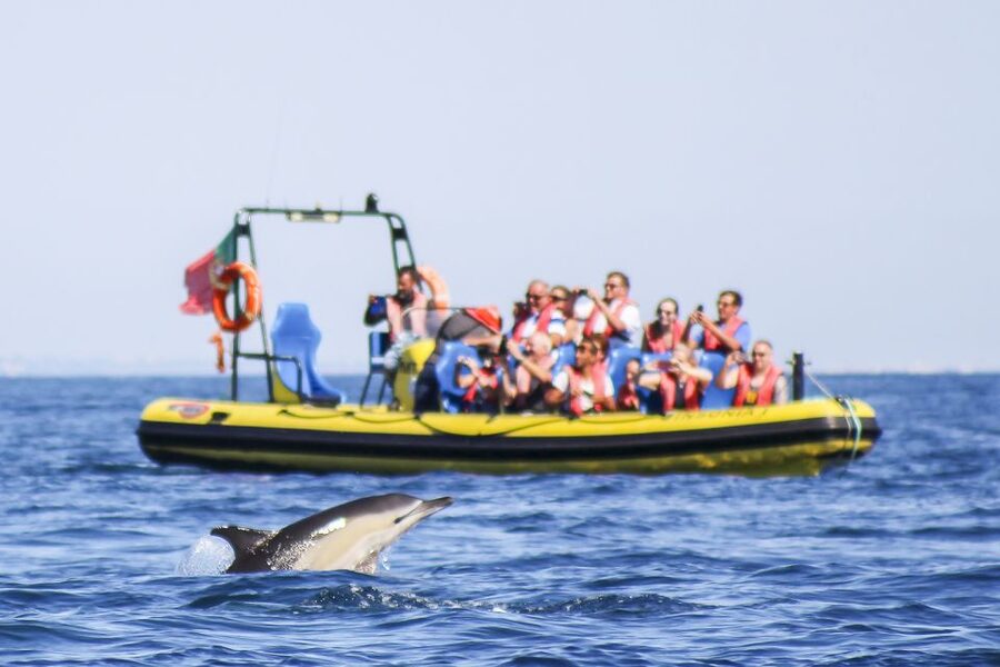 Albufeira: Benagil Caves & Dolphin Watching Speed Boat Tour - What this Albufeira boat tour is really like