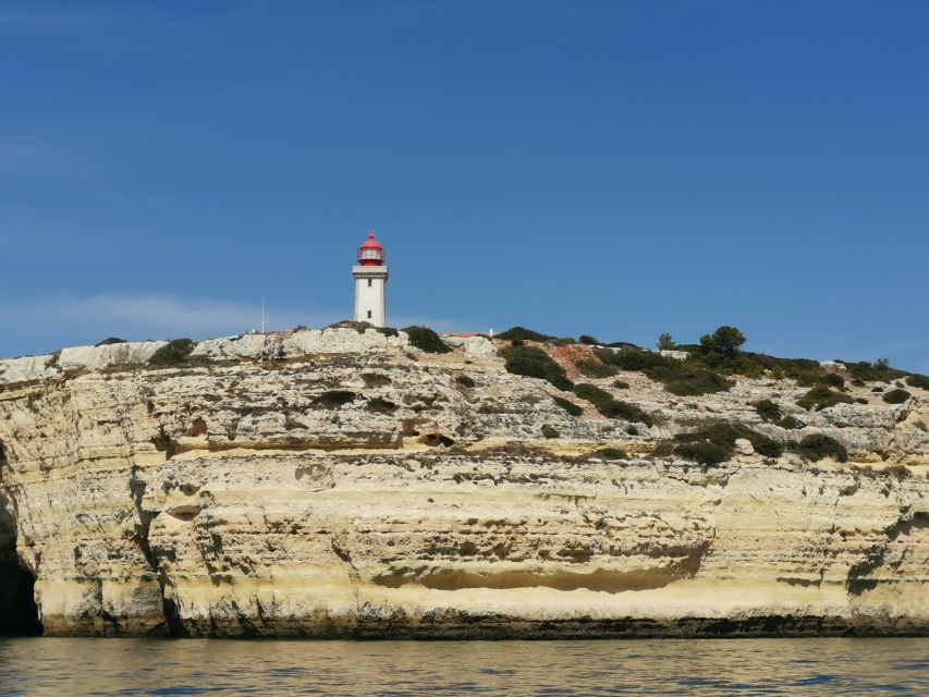 Albufeira: Coastline and Benagil Caves Tour by Catamaran - Who will enjoy this cruise most?