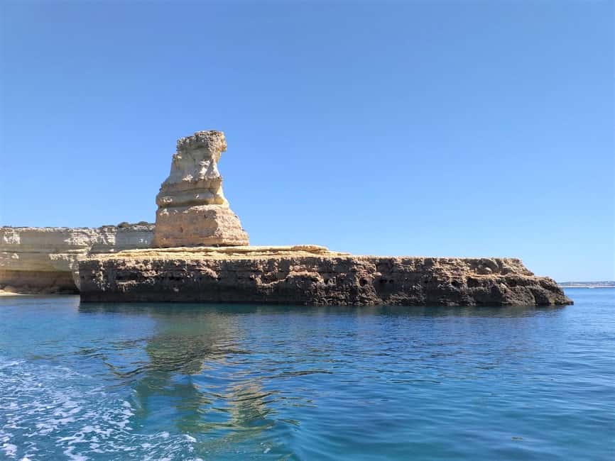 Albufeira: Dolphin Watching and Benagil Cave Boat Cruise - Should you book the Albufeira dolphin and Benagil cruise?