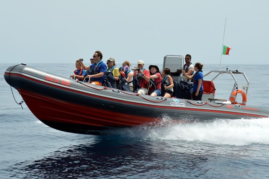 Albufeira: Dolphin Watching and Benagil Cave Boat Cruise - Benagil Cave and the Algarve’s carved cliffs