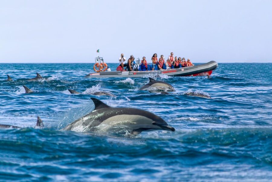 Albufeira: Dolphins & Benagil Caves RIB Tour - Thirty minutes of cliffs, beaches, and sea caves