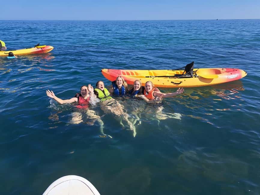 Albufeira: Hidden Beaches & Cliffs Guided Kayak Cave Tour - The 15-minute stop at Praia das Salamitras