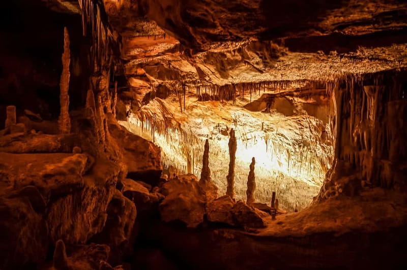 Alcudia: Caves of Drach Tour from the North with Boat Trip - Key Details Before You Book