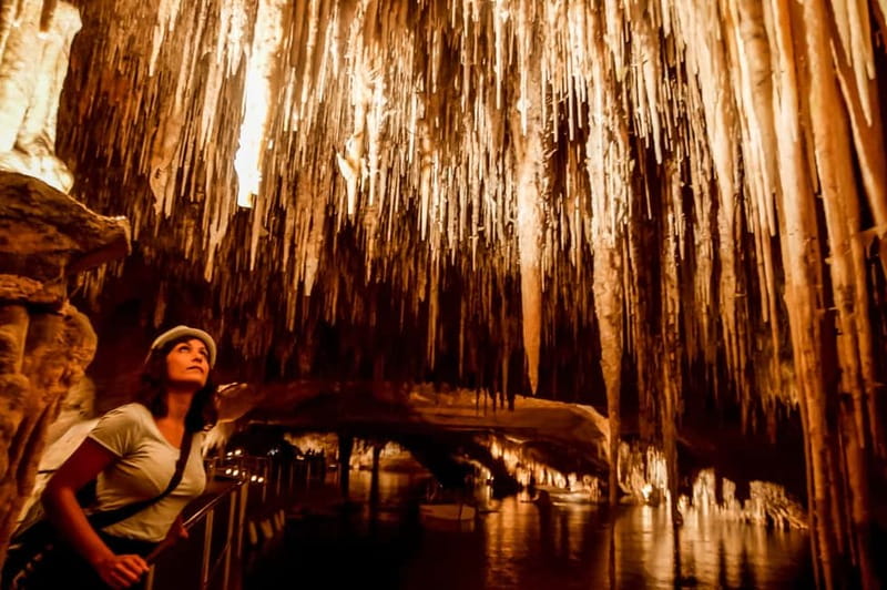 Alcudia: Caves of Drach Tour from the North with Boat Trip - Why the Caves of Drach Are Worth the Ride