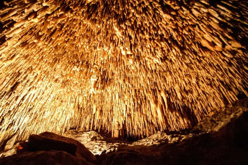 Alcudia: Caves of Drach Tour from the North with Boat Trip - Majorica Pearls: Interesting Stop or Shopping Detour?