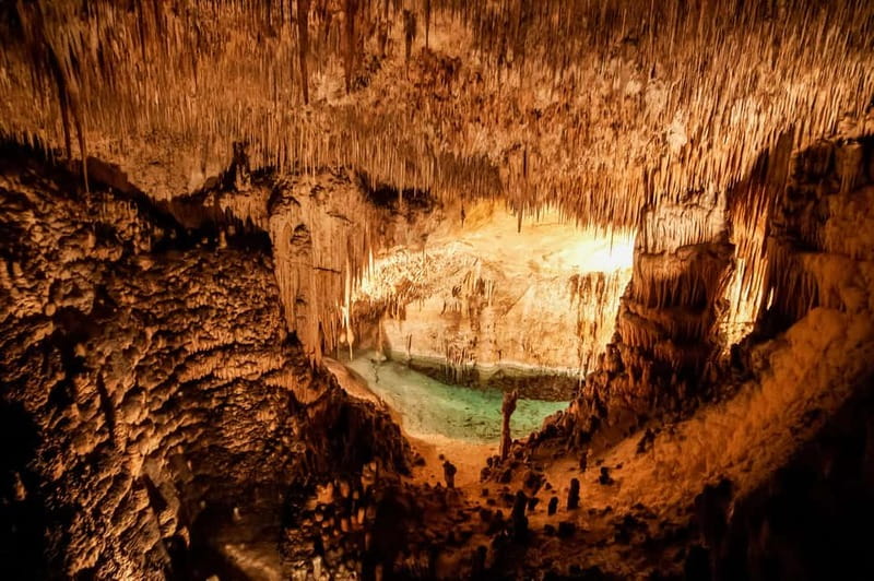Alcudia: Caves of Drach Tour from the North with Boat Trip - Lake Martel and the Short Classical Concert
