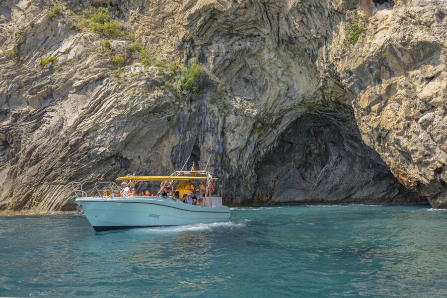 Alcudia: Coll Baix Beach & Sea Caves Cruise with Snorkeling - What the crew adds to the experience