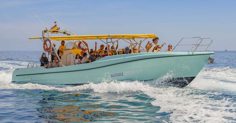 Alcudia: Coll Baix Beach & Sea Caves Cruise with Snorkeling - Hotel pickup keeps the morning simple