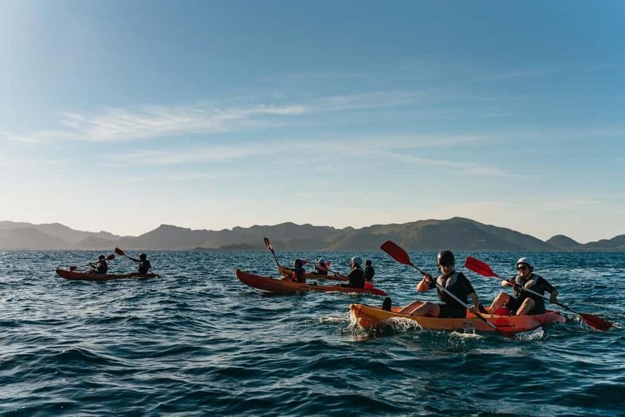 Alcudia: Kayak Tour with Snorkel & Sea Cave Swim - Practical tips for a better two hours