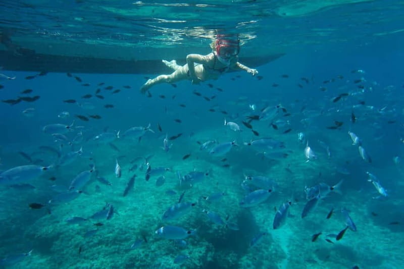 Alcudia: Sea Caves Coves and Snorkeling in small groups - Leaving Alcudia Bay for Llevant Nature Park