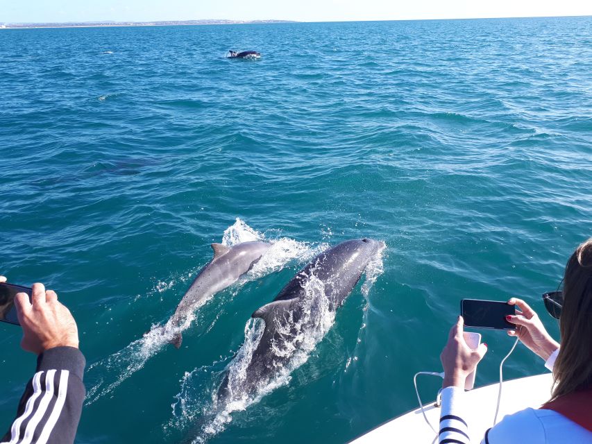 Algarve: Boat Trip to the Caves of Benagil - Key points to know before you book