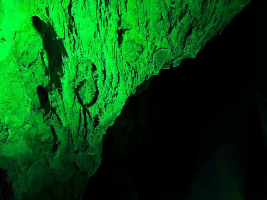 Alicante: Canelobre Caves and Busot Tour - Inside the 45-Meter Tunnel