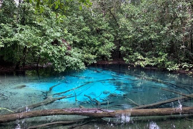 All day Krabi Jungle Tour (Hot Spring Water, Emerald Pool, Tiger Cave Temple) - Lunch beside the stream