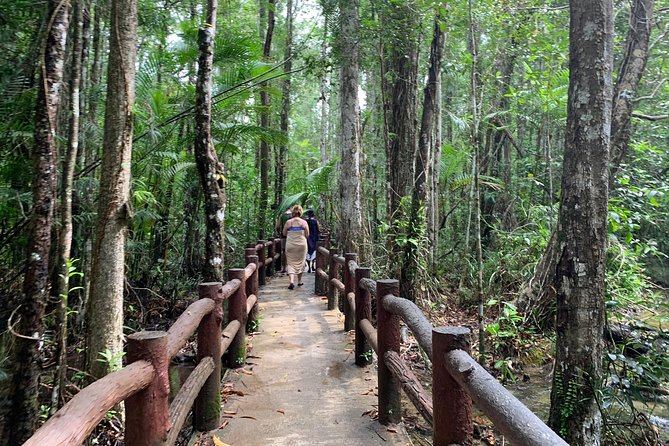 All day Krabi Jungle Tour (Hot Spring Water, Emerald Pool, Tiger Cave Temple) - Namtok Ron: a natural hot bath in the forest