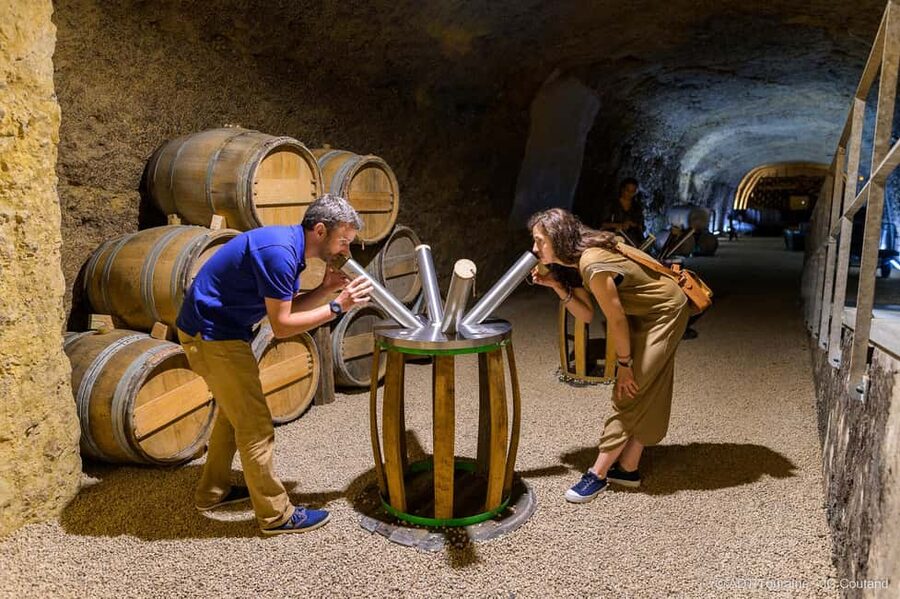 Amboise: Caves Ambacia Visit and Wine Tasting - Timing, Languages, and Cancellation