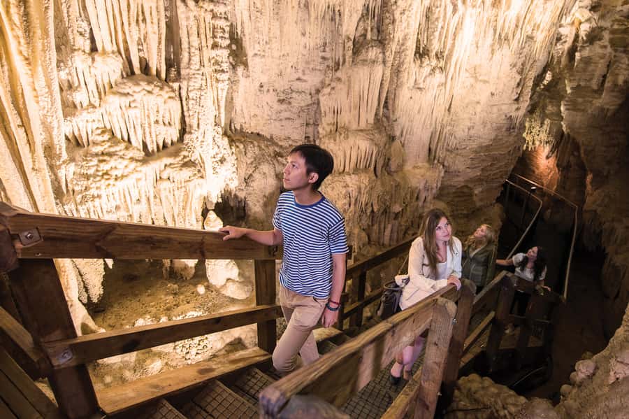 Aranui Cave 1-Hour Guided Tour - Key points to know before you go