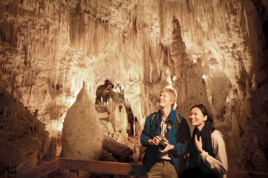 Aranui Cave 1-Hour Guided Tour - Why Aranui Cave feels different from Waitomo’s glowworm tour