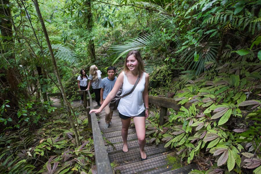 Aranui Cave 1-Hour Guided Tour - Maori stories and the geology beneath Waitomo