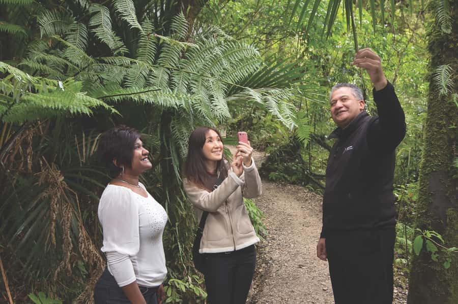 Aranui Cave 1-Hour Guided Tour - Group size, pace, and comfort inside the cave