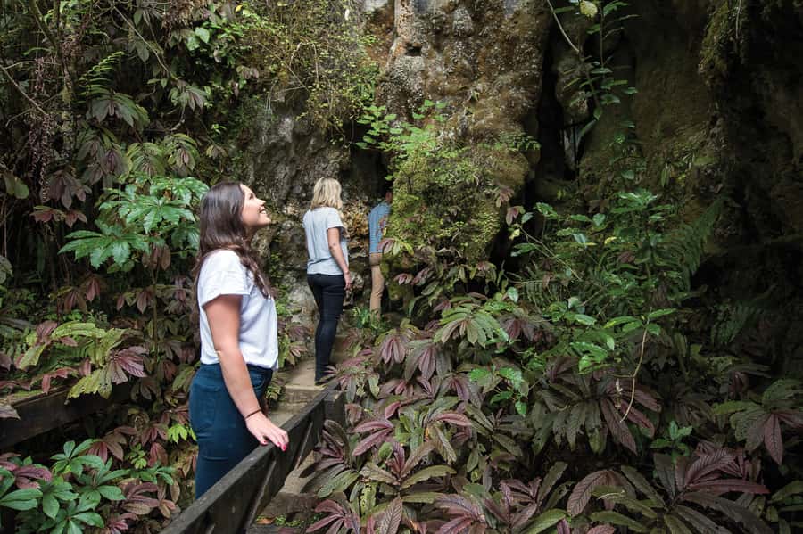 Aranui Cave 1-Hour Guided Tour - Who will enjoy this one-hour cave tour?