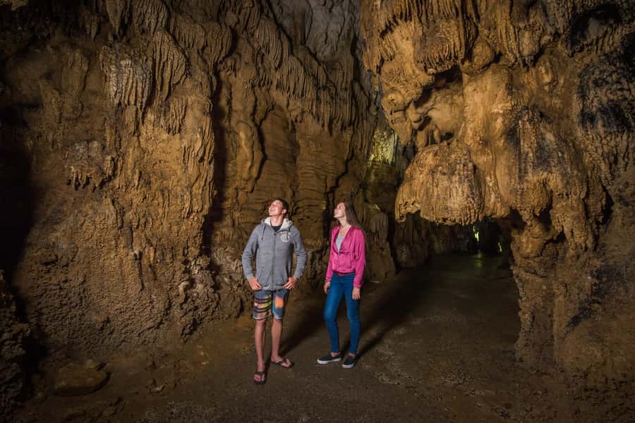Aranui Cave 1-Hour Guided Tour - Starting at the visitor centre and walking through the bush