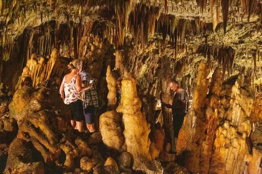 Argostoli: Melissani & Drogarati Cave Tour with Wine Tasting - The guide can shape the whole day