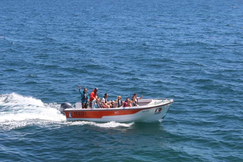 Armação de Pêra: Benagil and 10 Best Caves Guided Boat Tour - Safety, comfort, and who should skip it