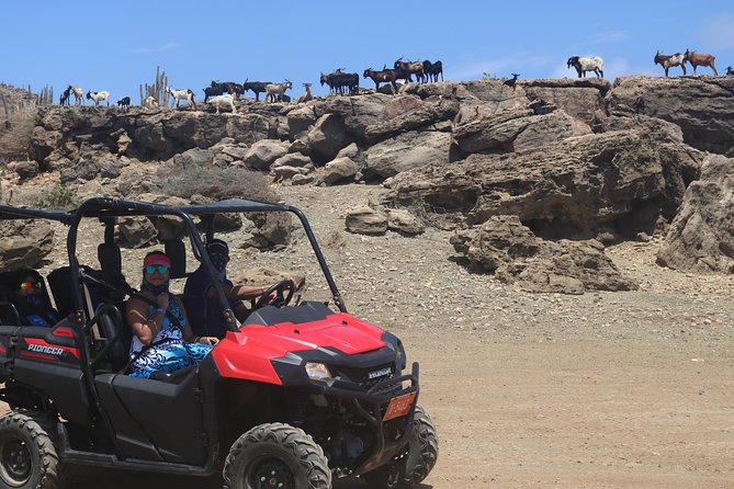 Aruba UTV, ATV Adventure to Secret Beach and Cave Pool - Arashi Beach finishes the ride