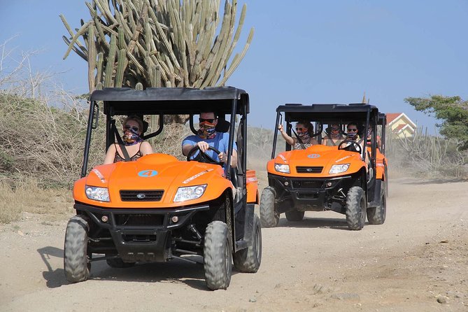 Aruba UTV Tour with Natural Cave Pool and Cliff Jumping - Why this UTV tour is different from a beach day