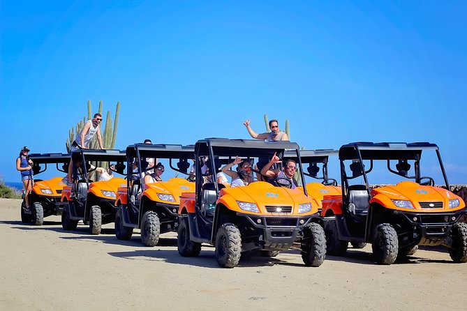 Aruba UTV Tour with Natural Cave Pool and Cliff Jumping - Philip’s Animal Garden starts the day
