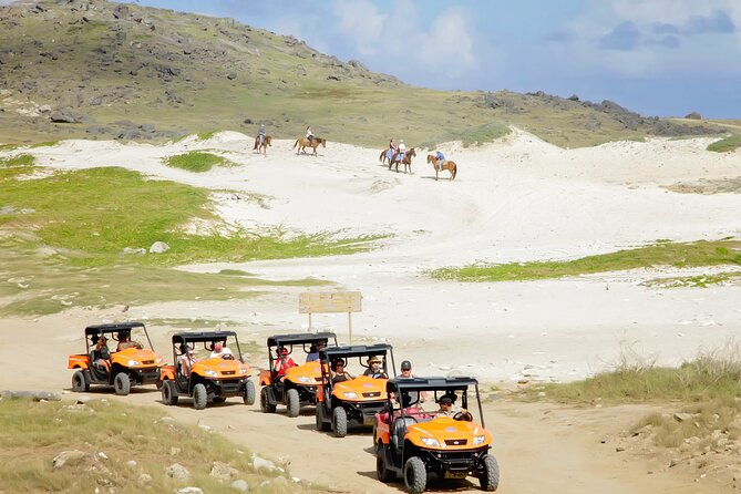 Aruba UTV Tour with Natural Cave Pool and Cliff Jumping - Andicuri Beach and Shark Bay offer a rough-water break