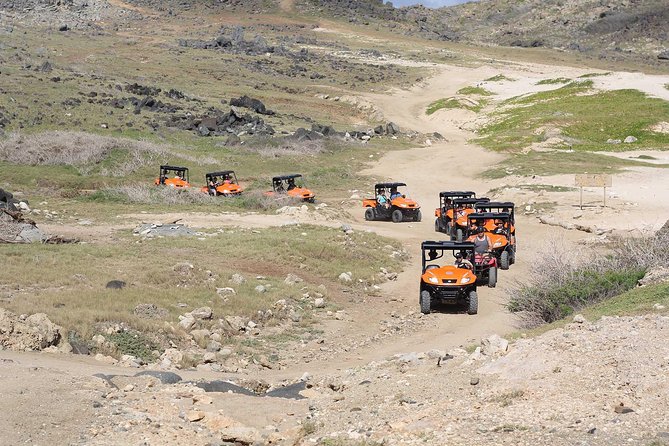 Aruba UTV Tour with Natural Cave Pool and Cliff Jumping - Pickup, vehicles, and what the morning feels like