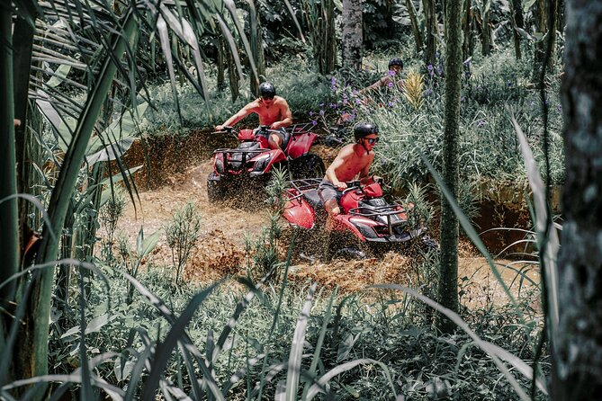 ATV Quad Bike Bali with Waterfall Gorilla Cave and Lunch - Gorilla Cave, waterfall, canyons, and river sections
