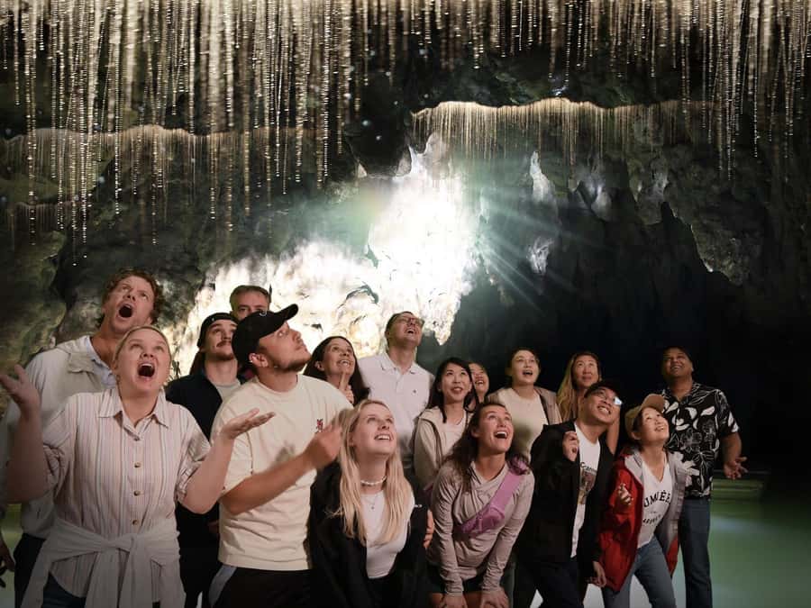 Auckland: Hobbiton & Waitomo Caves Small-Group Tour & Lunch - Waitomo Glowworm Caves and the quiet boat ride